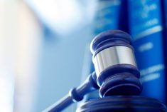 Photo: Photo: iStock/Getty Images Plus
