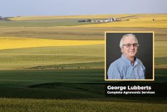 A scenic photo of a "patchwork" of several crops visible from the top of a hill, and a "head and shoulders" photo of agronomist George Lubberts from Complete Agronomic Services superimposed over the background in the lower righthand corner.