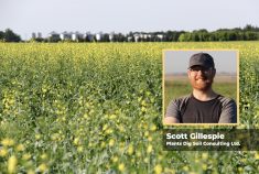 A picture of a canola field in bloom with some large steel grain bins in the background, and a "head and shoulders" photo of Scott Gillespie, and agronomist with Plants Dig Soil Consulting Ltd., superimposed over the bottom righthand corner of the background image.