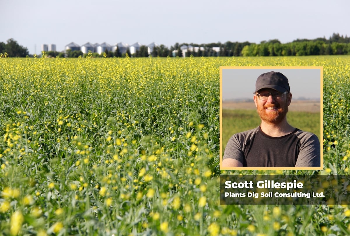 Image for Agronomists share tips for evaluating new crop products and tech: Part 2