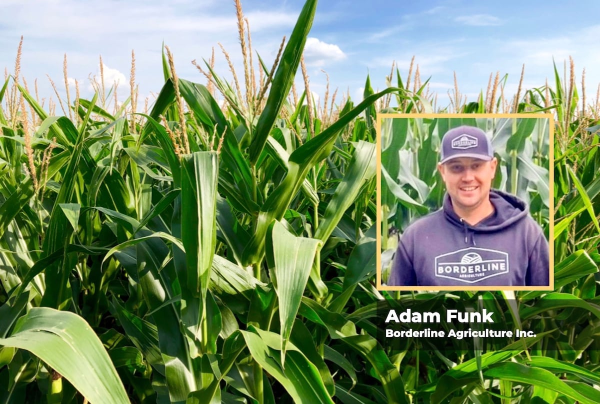 A close-up photo of the tops of corn plants in a field with a "head and shoulders" photo of agronomist Adam Funk of Borderline Agriculture Inc., superimposed over the righthand side of the background image.