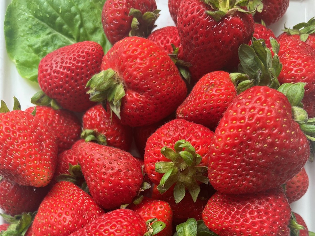 A pile of fresh, red strawberries with a couple green leaves beneath them on top of a white surface.