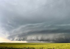 A cloud shelf is clearly visible at the leading edge of a storm moving across green prairie crops.