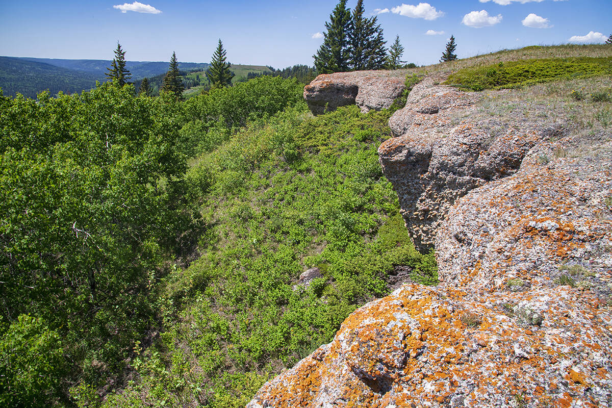 Conglomerate cliffs.