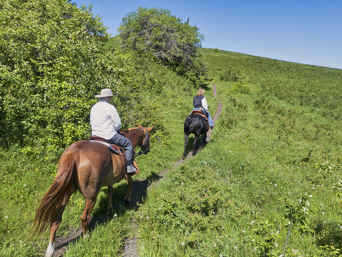 Horseback ride at the Reesor Ranch in the Cypress Hills, Saskatchewan.