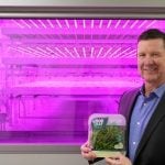 Andy O'Brien, CEO of GoodLeaf Farms. Photo: GoodLeaf Farms