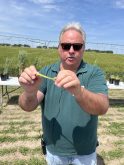 Photo by Greg Price
Dr. Mike Harding, crop assurance lead for Alberta Agriculture and Irrigation, was on hand at a recent field school at Farming Smarter, telling of and showing the various cereal leaf diseases producers have to look for in the southern Alberta. Stripe rust has appeared in fields in the region where growers are encouraged to scout their fields for it to best combat it before it progresses too much.