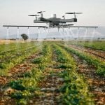 drone spraying