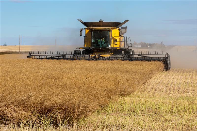 Timing matters: Pre-harvest glyphosate and grain moisture