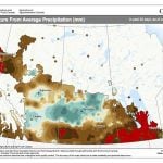 Forecasts mostly call for warm summer