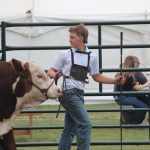 Alex Wood exhibits a bull at the Ag in Motion 2025 junior cattle show.