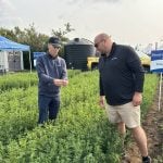 Kaiden Bursaw and Kyle Slobodian of BrettYoung examine the forage plots at Ag in Motion 2025 near Langham, Sask.