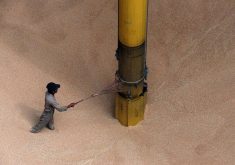 An Indonesian worker checks a big pipe used to suck tons of wheat flour at Tanjung Priok port in Jakarta.
