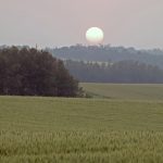 The outline of the setting sun is clearly visible over a smoky field of wheat with some trees in the distance.