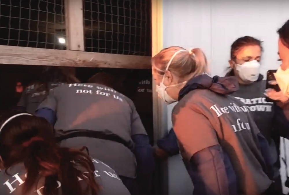 A screenshot from a video posted on YouTube shows animal activists entering a turkey barn at the Jumbo Valley Hutterite Colony in Alberta in 2019.
