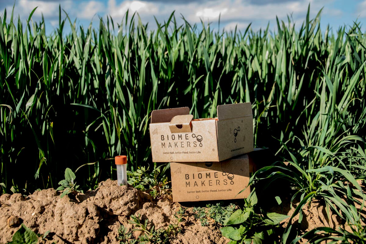 Two cardboard boxes with "Biome Makers" written on their sides sit on soil next to a crop with a platic sample collection tube stuck in the earth beside them.