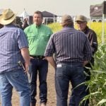 Spencer Harris (green shirt) speaks with attendees at the Nutrien Ag Solutions crop plots at Ag in Motion on July 16, 2025. Photo: Greg Berg