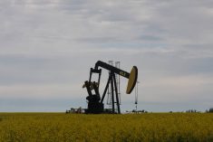 A pump jack near Fairview sits idle, but the Peace River area is rich is oil and gas. Photo by Mary MacArthur)