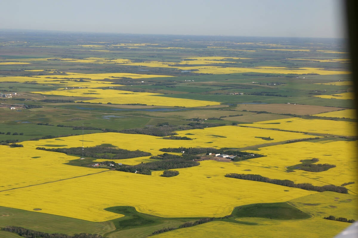 An aerial view of the