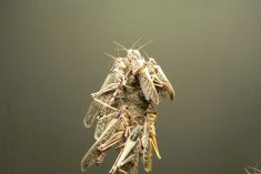 Photo: Marco Velasco/Getty Images Plus