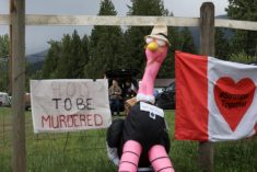 May 17, 2025, Edgewood, Bc, CANADA: Supporters set up camp at the Universal Ostrich Farms property in Edgewood, B.C., on Saturday, May 17, 2024. Hundreds of supporters flocked to the farm over the Victoria long weekend to protest the Canadian Food Inspection Agencyâ€šÃ„Ã´s order to cull 400 ostriches. Photo: Aaron Hemens/The Canadian Press via ZUMA Press
