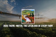 A screencap from the Alberta Open Farm Days website showing an irrigation pivot spraying water on a crop near sunset, and the caption,"2025 theme: Water, the lifeblood of every farm." There is an image of a oil painting in the middle of the page depicting a stream flowing through a valley with trees changing colour and green hills in the background.