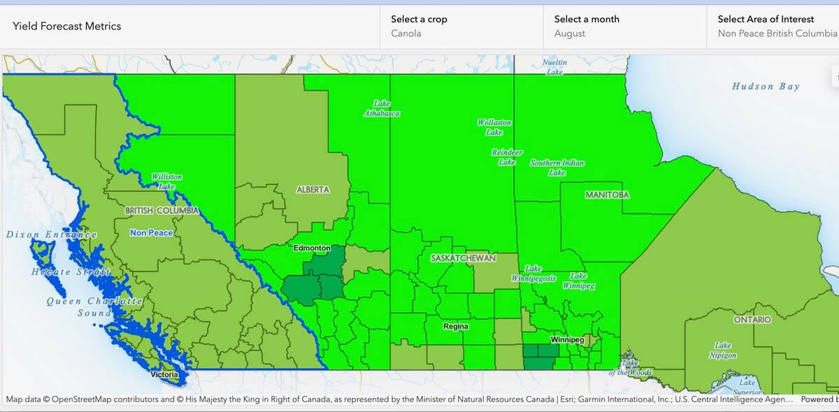 An Agriculture Canada computer modelled map indicating that many regions of the Prairies have favourable (lime green) conditions for the yield potential of canola. 