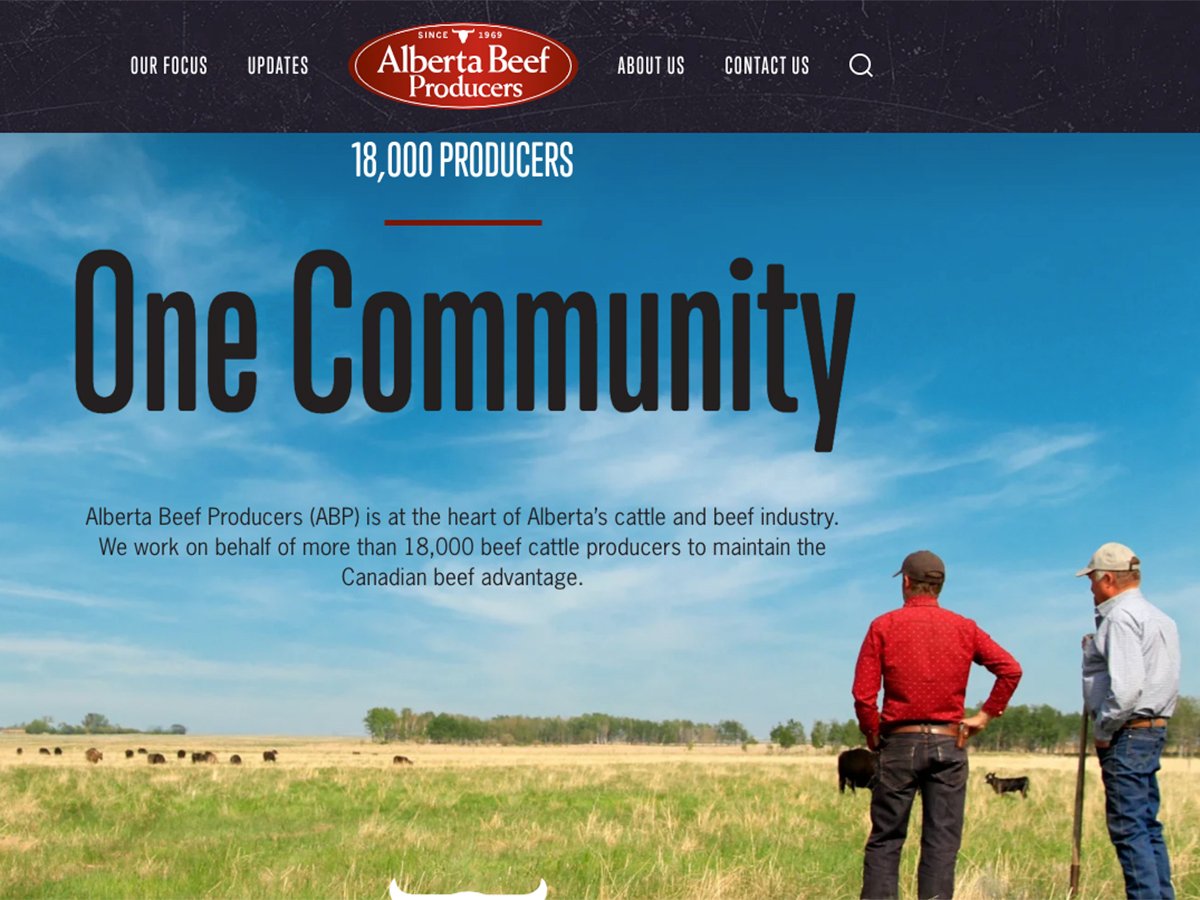 A screencap from th Alberta Beef Producers homepage showing two livestock producers in ball caps looking out over a pasture with cattle on it with the words,