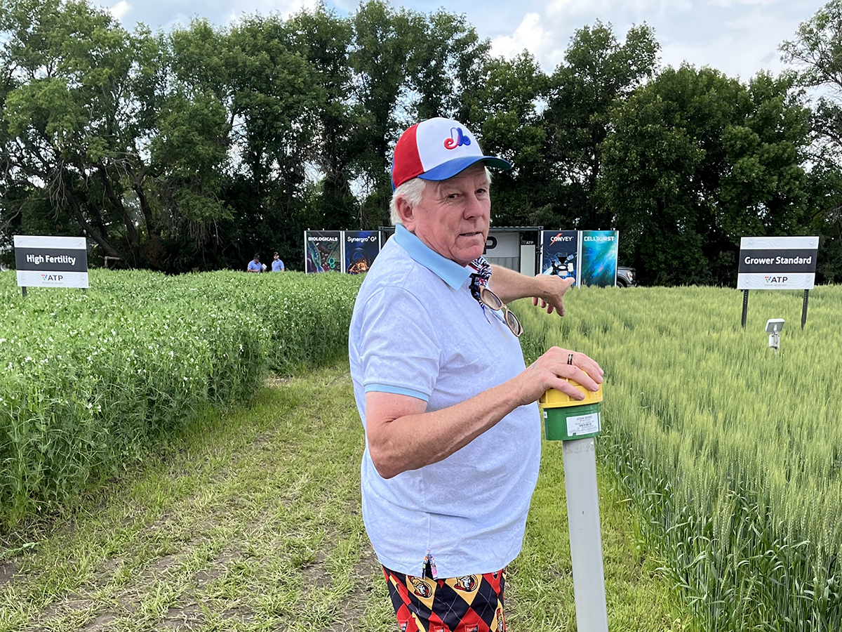An older man in a light blue shirt, with a Montreal Expos ball cap, and black and red shorts points at an ATP Nutrition test plot at the Ag in Motion farm show near Langham, Sask., in July, 2025.