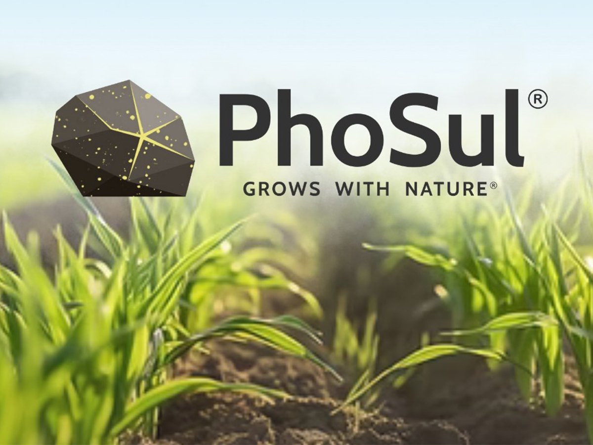 A promotional image showing a close-up of a recently-emerged crop with the words,