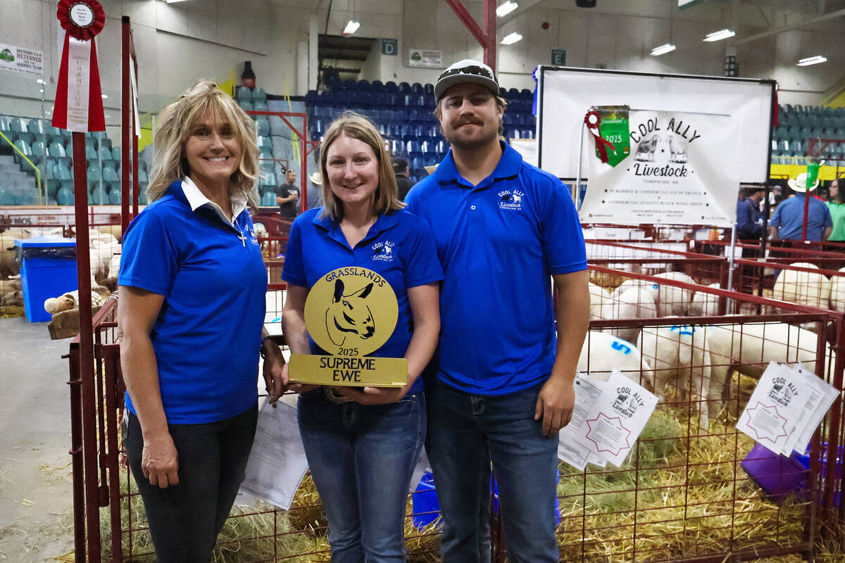 Annette Mignault, left, Alyssa Boles and Colten Bowyer pose with their supreme champion ewe award at the recent Grasslands Sheep Exhibition in Humboldt, Sask.
