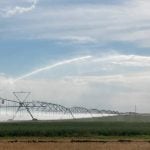 A large irrigation pivot waters a crop on a sunny day in southern Alberta.