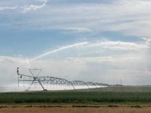 A large irrigation pivot waters a crop on a sunny day in southern Alberta.