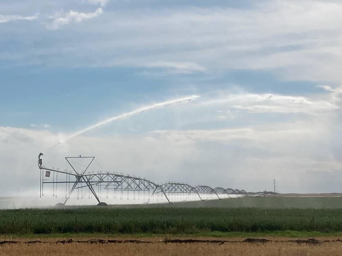 A large irrigation pivot waters a crop on a sunny day in southern Alberta.