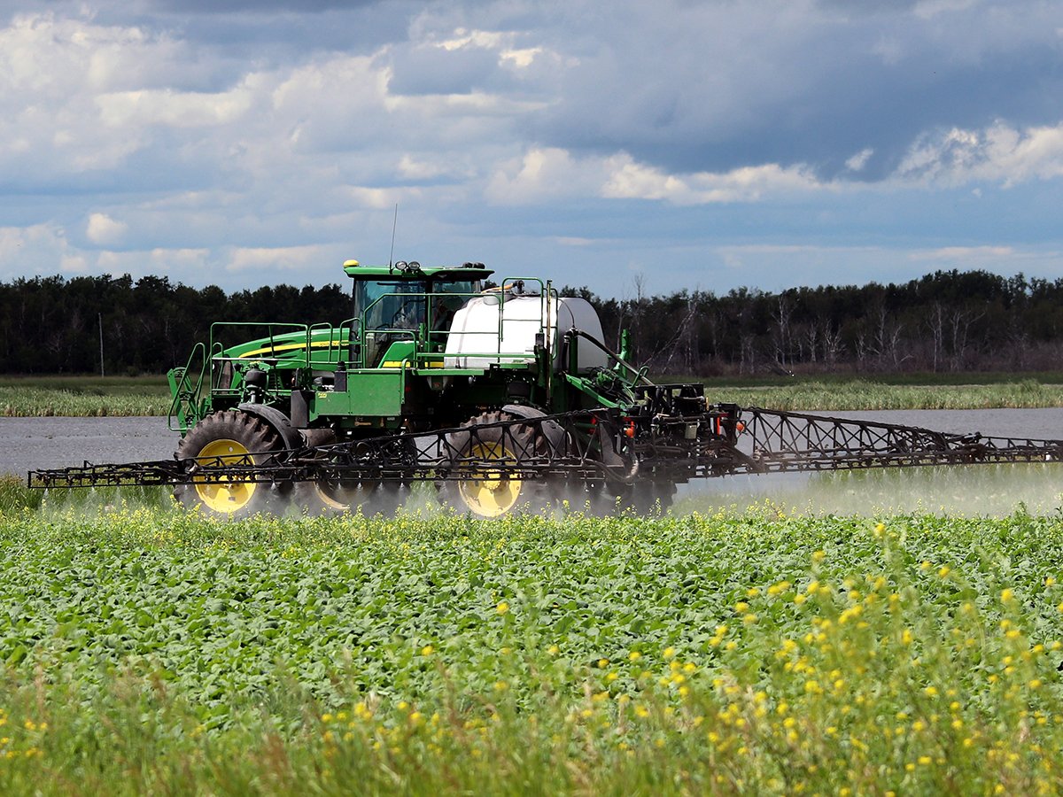 A modern John Deere sprayer sprays a canola crop next to a slough with trees in the background.