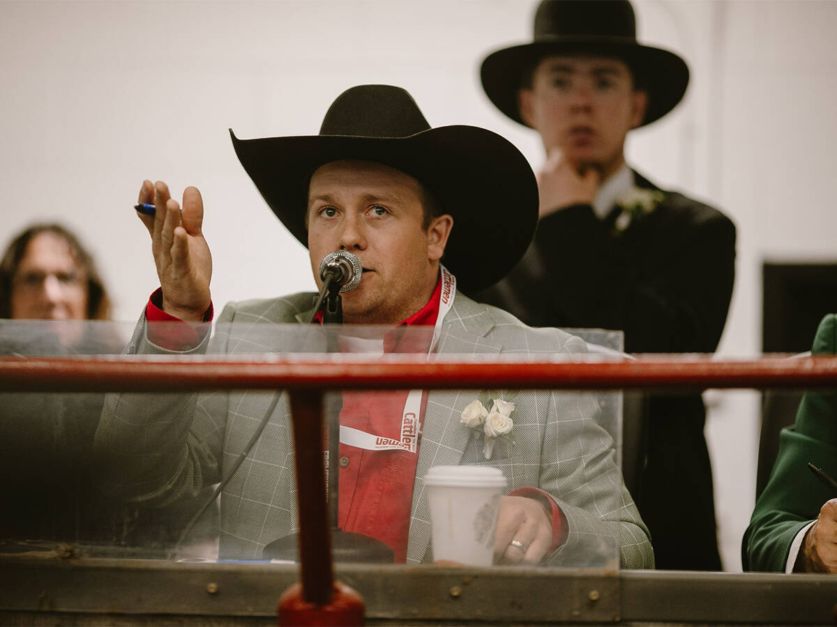An auctioneer in a black cowboy hat speaks into a microphone and gestures with his right hand as he sells cattle.