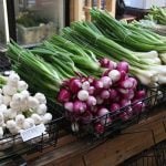A variety of freshly-picked onions are displayed in wire baskets on a counter at a farmer's market.
