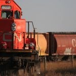 The nose of a CN train engine rounding a corner is in the foreground with its grain cars visible in the background.