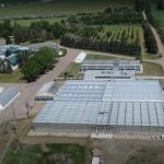 An aerial view of Alberta's Crop Development Centre South, near Brooks.
