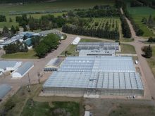 An aerial view of Alberta's Crop Development Centre South, near Brooks.