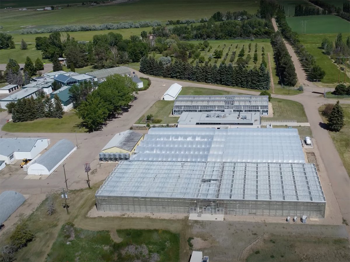 An aerial view of Alberta's Crop Development Centre South, near Brooks.