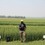 Patrick Mooleki, Agriculture and Agri-Food Canada research scientist, speaks about nitrogen research in front of barley plots in Melfort, Sask.