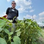 Shaun Sharpe, a weed scientist with Agriculture Canada in Saskatoon, stands amid a waist-high grain amaranth demonstration plot at the Ag in Motion farm show near Langham, Sask., in July 2025.