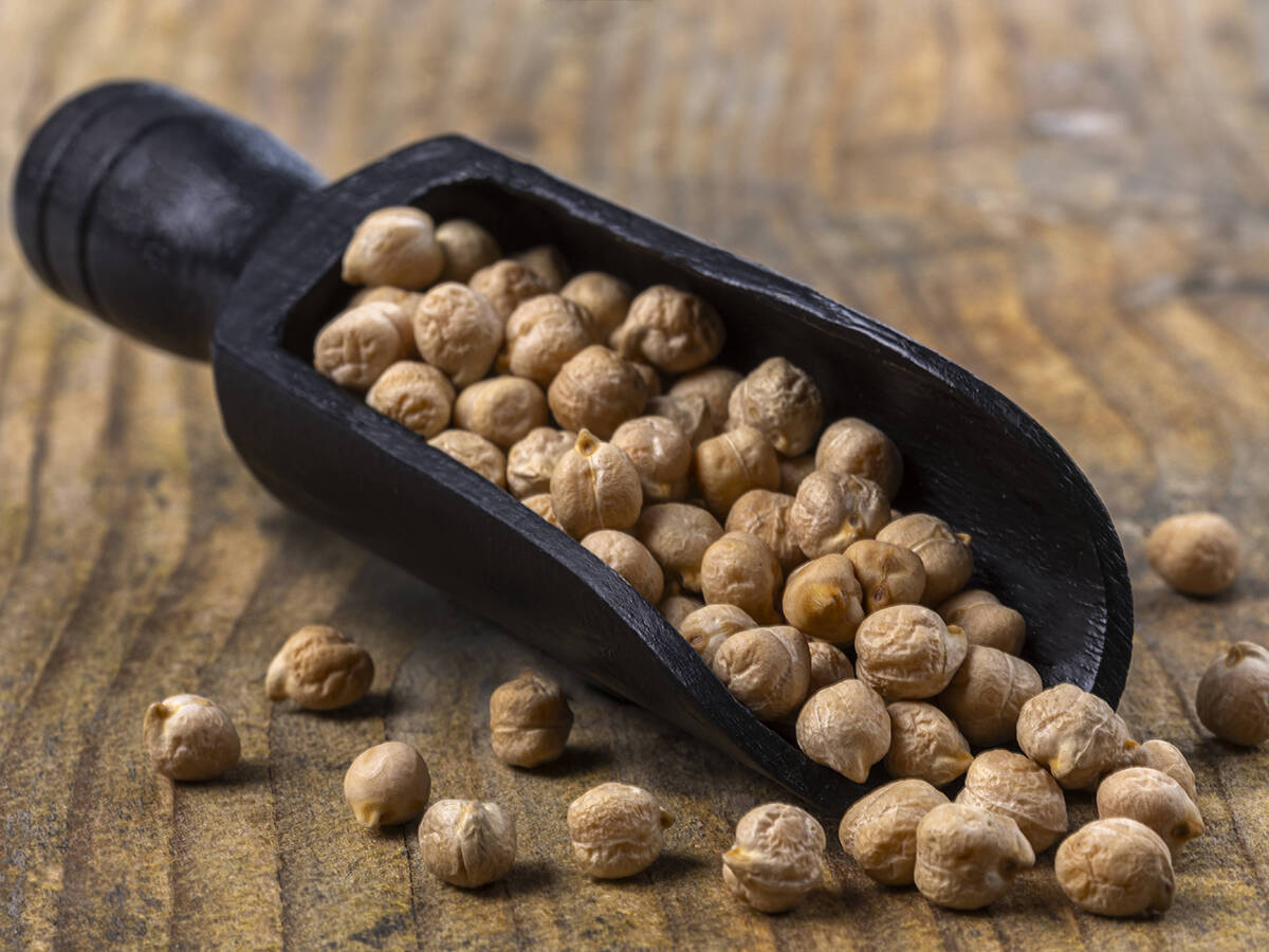 A black scoop holds chickpeas on a wooden tabletop.