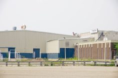 A photo of the Heartland Livestock Services auction mart location in Brandon, days after the Nilsson Bros., who own the location, announced its closure. The parking lot is empty.