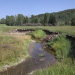 A photo of a bend in a creek on a nice sunny day showing extensive damage to the bank due to livestock grazing.