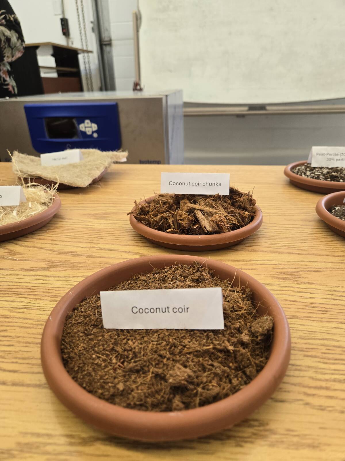 Red, round plastic trays the size of small plates display potential peat moss alternatives on a desk. The one closest to the camera is labelled, "Coconut coir."