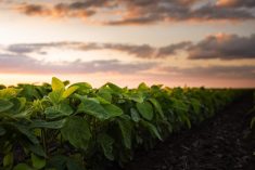 Photo: Fotokostic/Getty Images Plus
