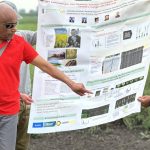 Dilantha Fernando explaining the interaction between blackleg and verticillium at the University of Manitoba's field day at the Ian M. Morrison Research Centre in Carman in July.