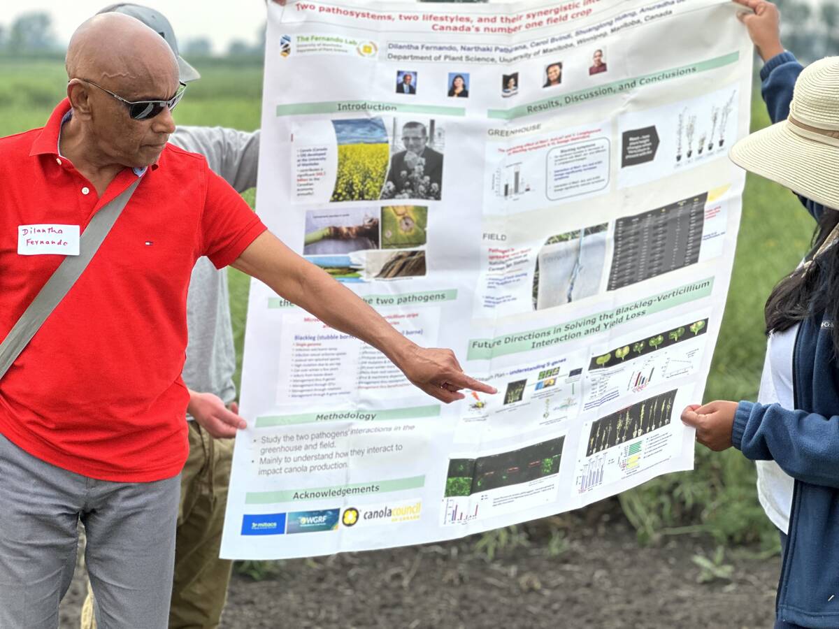 Dilantha Fernando explaining the interaction between blackleg and verticillium at the University of Manitoba's field day at the Ian M. Morrison Research Centre in Carman in July.